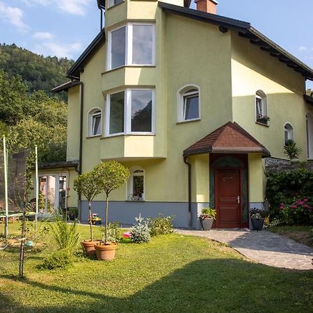 Riverside Villa Avo - Apartment Martin Spodnja Idrija Exterior photo