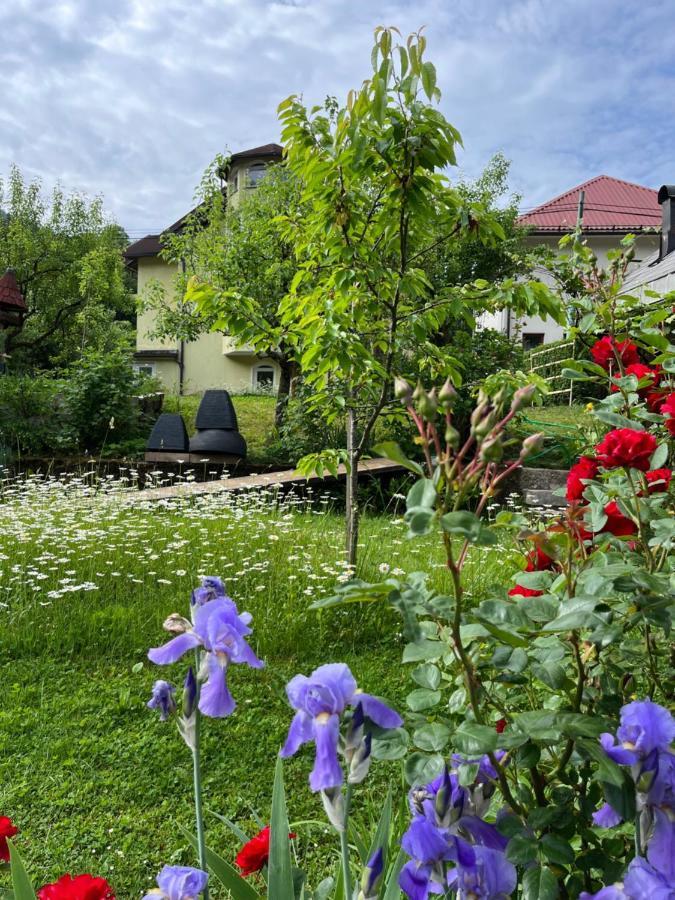 Riverside Villa Avo - Apartment Martin Spodnja Idrija Exterior photo